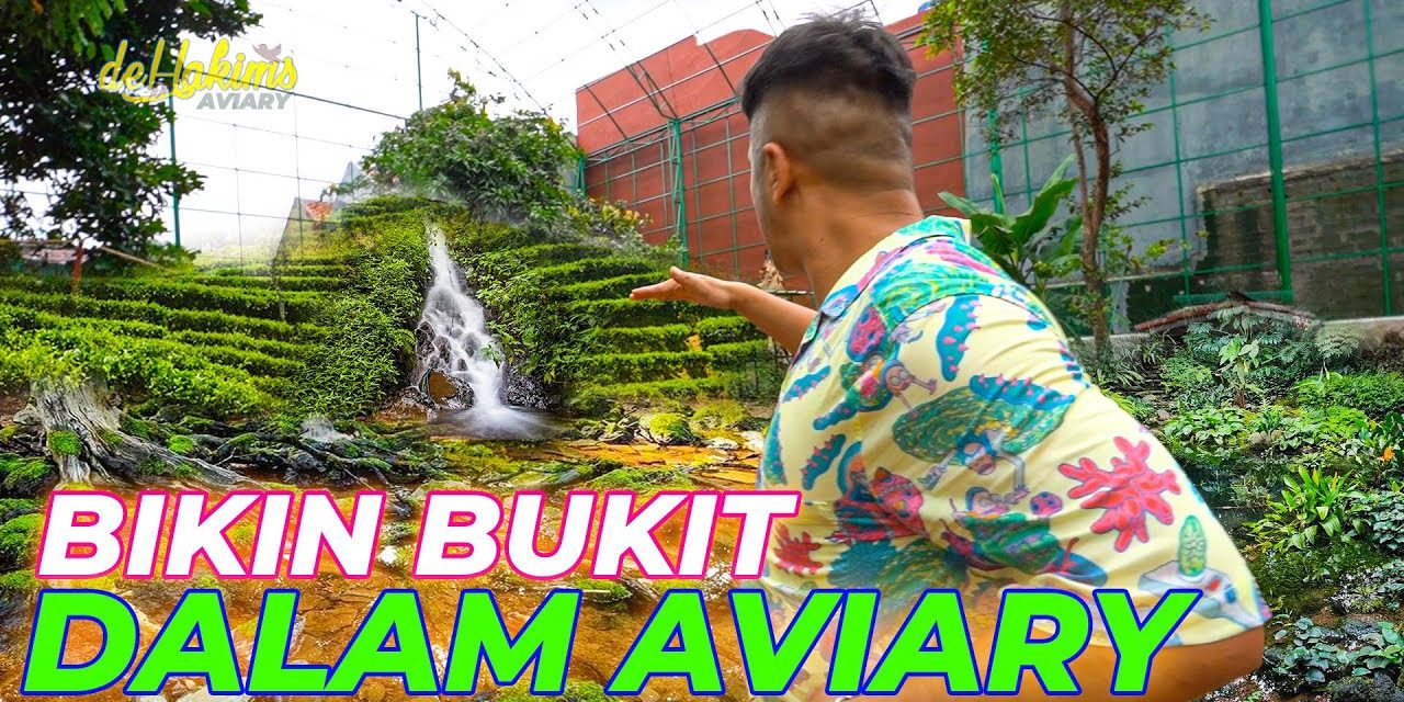 Fakta Menarik Dehakim Aviary Kawasan Konservasi Dan Edukasi