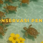 Pentingnya Konservasi Penyu: Menjaga Kelanjutan Ekosistem Laut