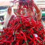 Harga Cabai Dan Minyak Goreng Melonjak Di Aceh Dari Januari