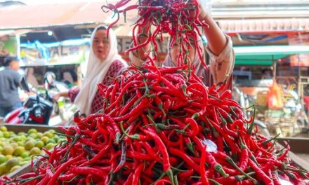 Harga Cabai Dan Minyak Goreng Melonjak Di Aceh Dari Januari