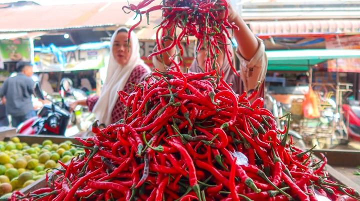 Harga Cabai Dan Minyak Goreng Melonjak Di Aceh Dari Januari