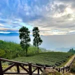 Wajib Banget Di Visit! Ini Spot Wisata Paling Hits Di Lampung