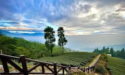 Wajib Banget Di Visit! Ini Spot Wisata Paling Hits Di Lampung