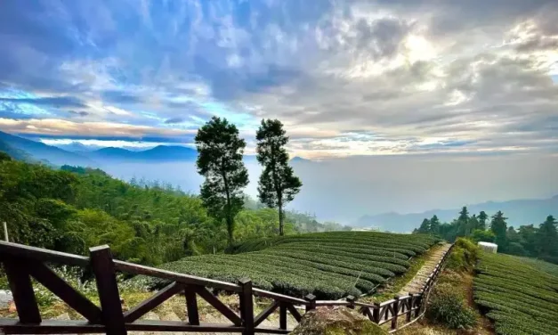 Wajib Banget Di Visit! Ini Spot Wisata Paling Hits Di Lampung