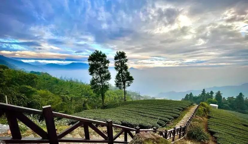 Wajib Banget Di Visit! Ini Spot Wisata Paling Hits Di Lampung